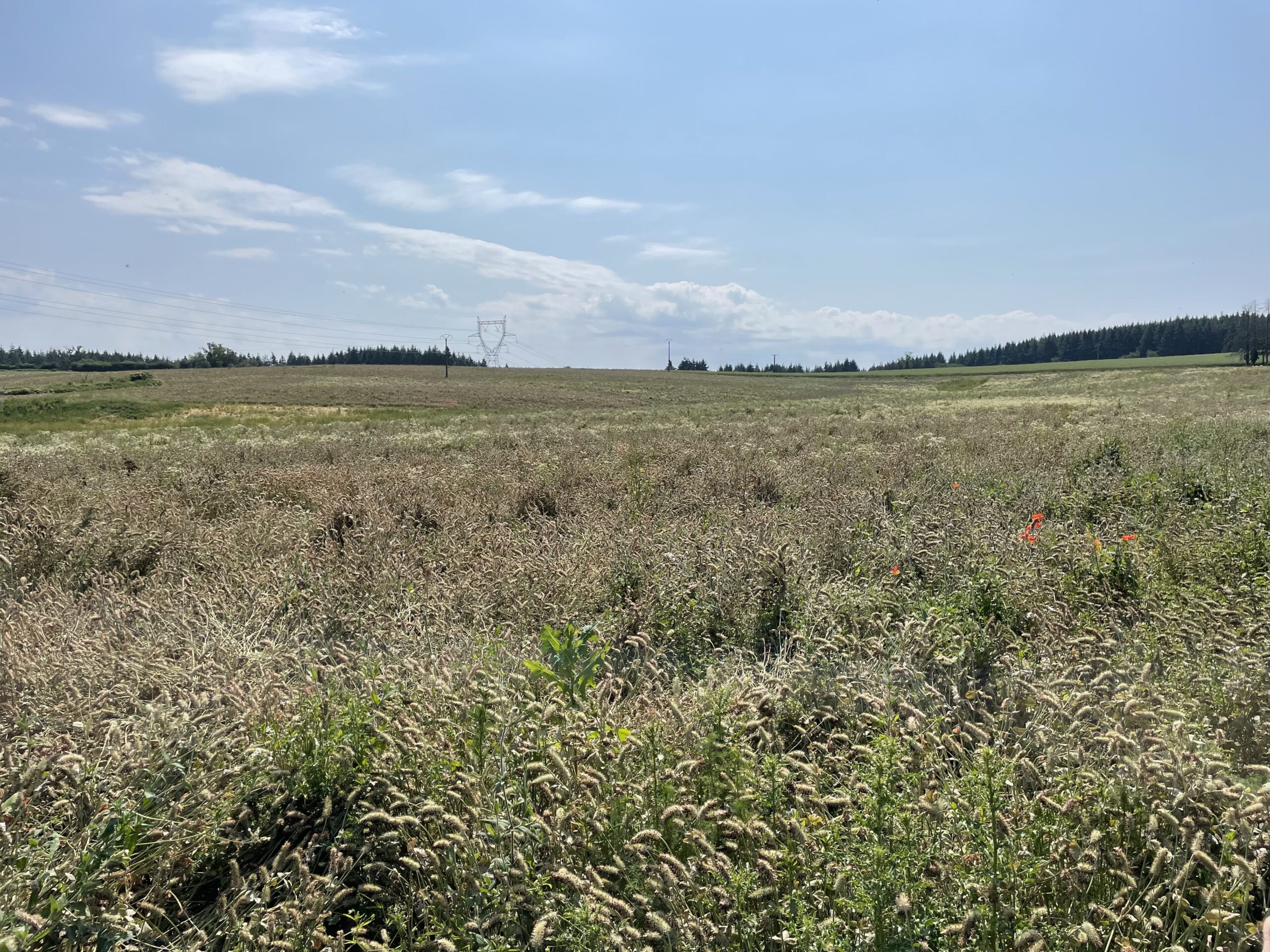 projet agrivoltaïque de la Frenière d'en Haut